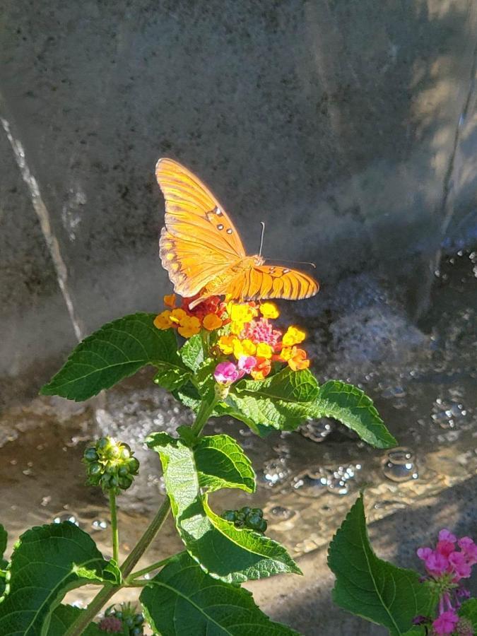 The God Spa Redding Ngoại thất bức ảnh